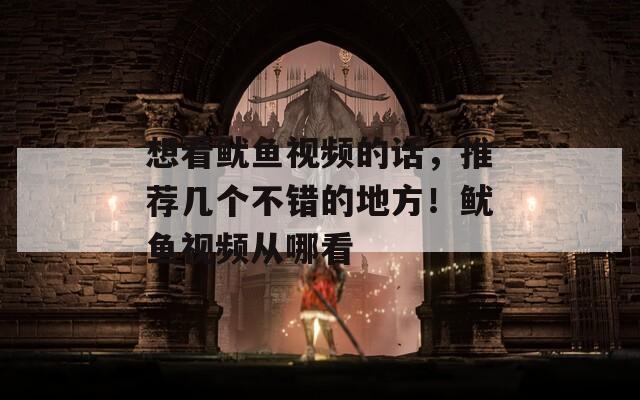 想看鱿鱼视频的话，推荐几个不错的地方！鱿鱼视频从哪看