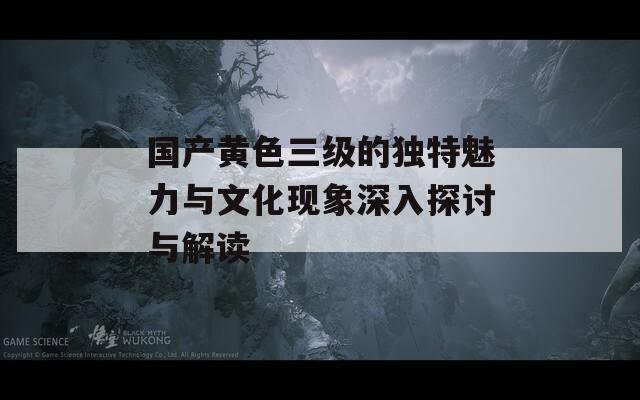 国产黄色三级的独特魅力与文化现象深入探讨与解读
