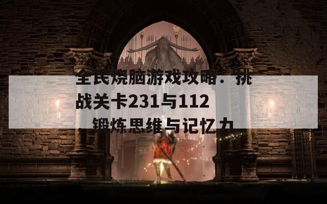 全民烧脑游戏攻略：挑战关卡231与112，锻炼思维与记忆力