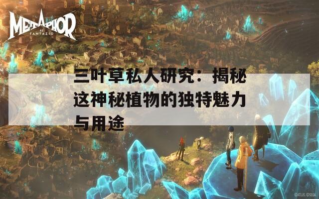 三叶草私人研究：揭秘这神秘植物的独特魅力与用途