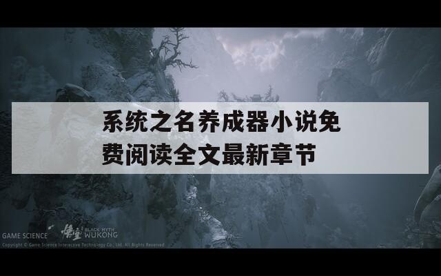系统之名养成器小说免费阅读全文最新章节