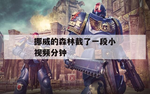 挪威的森林截了一段小视频分钟