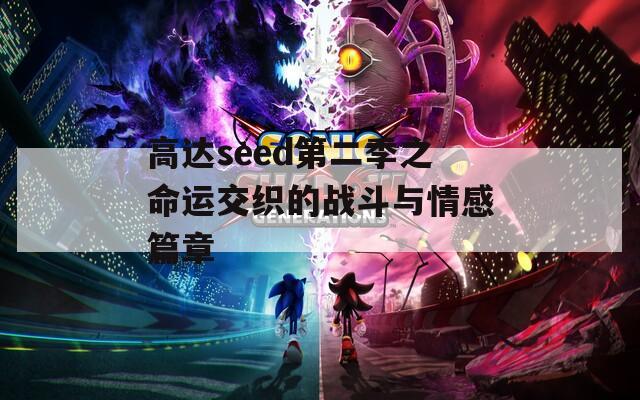 高达seed第二季之命运交织的战斗与情感篇章