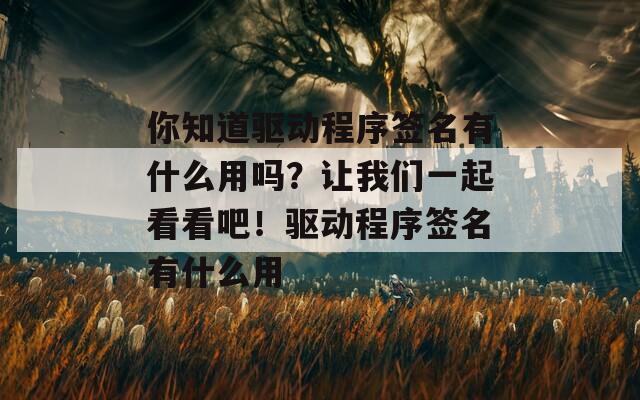 你知道驱动程序签名有什么用吗？让我们一起看看吧！驱动程序签名有什么用