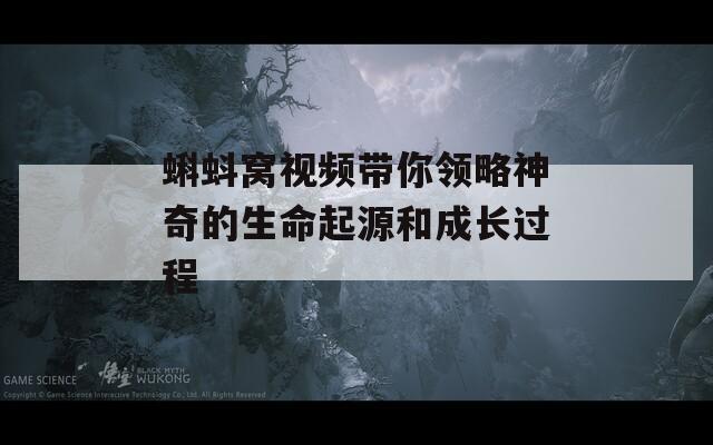 蝌蚪窝视频带你领略神奇的生命起源和成长过程