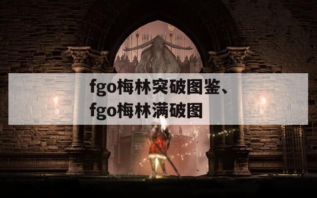 fgo梅林突破图鉴、fgo梅林满破图