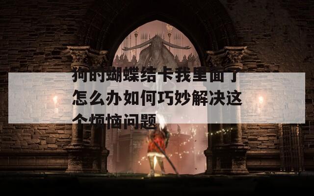 狗的蝴蝶结卡我里面了怎么办如何巧妙解决这个烦恼问题