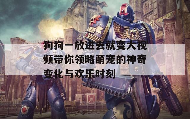 狗狗一放进去就变大视频带你领略萌宠的神奇变化与欢乐时刻
