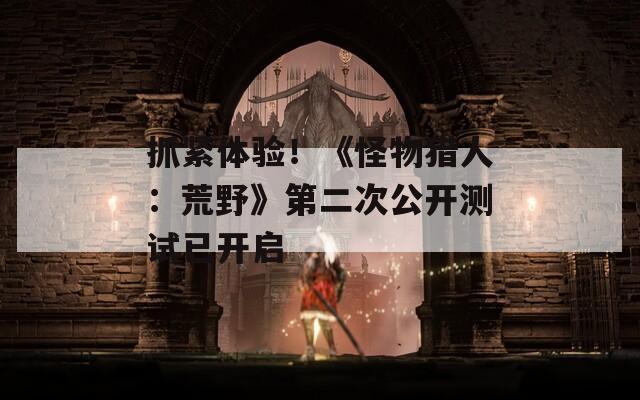 抓紧体验！《怪物猎人：荒野》第二次公开测试已开启