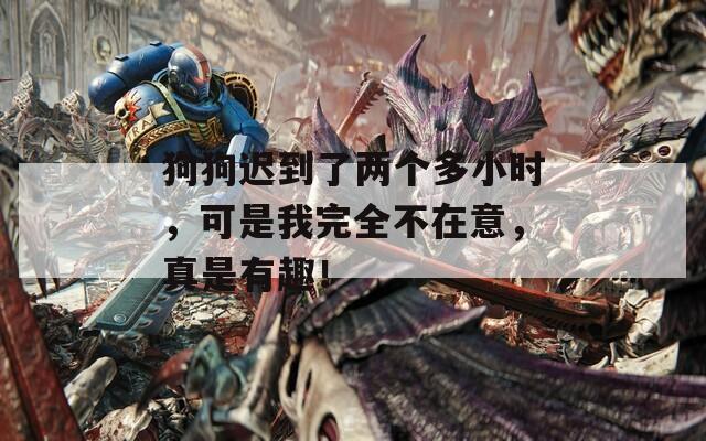 狗狗迟到了两个多小时，可是我完全不在意，真是有趣！
