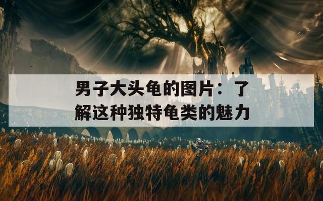 男子大头龟的图片：了解这种独特龟类的魅力