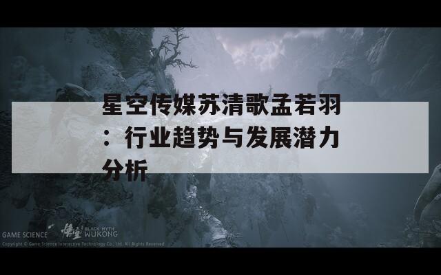 星空传媒苏清歌孟若羽：行业趋势与发展潜力分析