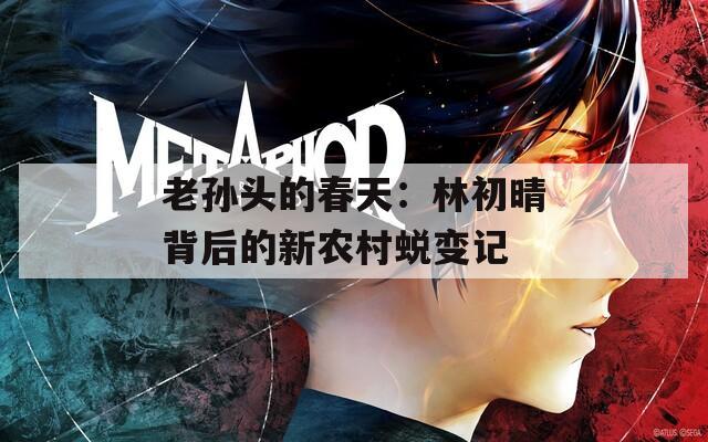 老孙头的春天：林初晴背后的新农村蜕变记