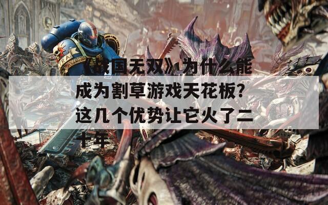 《战国无双》为什么能成为割草游戏天花板？这几个优势让它火了二十年