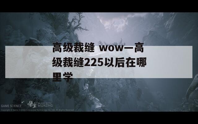 高级裁缝 wow—高级裁缝225以后在哪里学