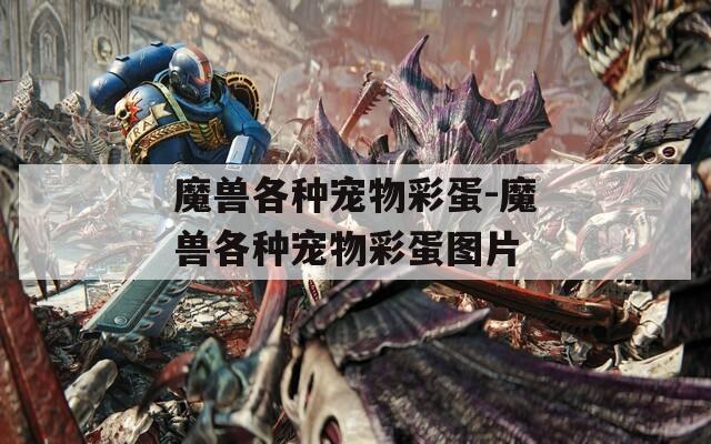 魔兽各种宠物彩蛋-魔兽各种宠物彩蛋图片