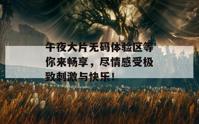 午夜大片无码体验区等你来畅享，尽情感受极致刺激与快乐！