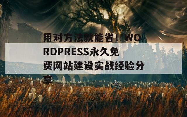 用对方法就能省！WORDPRESS永久免费网站建设实战经验分享
