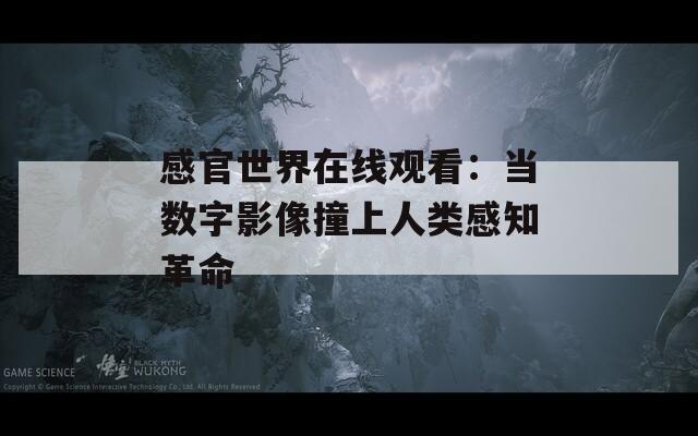 感官世界在线观看：当数字影像撞上人类感知革命
