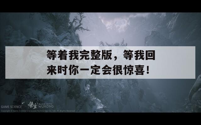 等着我完整版，等我回来时你一定会很惊喜！