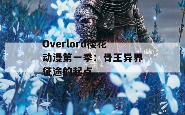 Overlord樱花动漫第一季：骨王异界征途的起点
