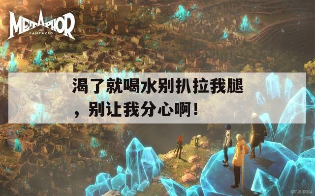 渴了就喝水别扒拉我腿，别让我分心啊！