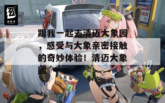 跟我一起去清迈大象园，感受与大象亲密接触的奇妙体验！清迈大象园