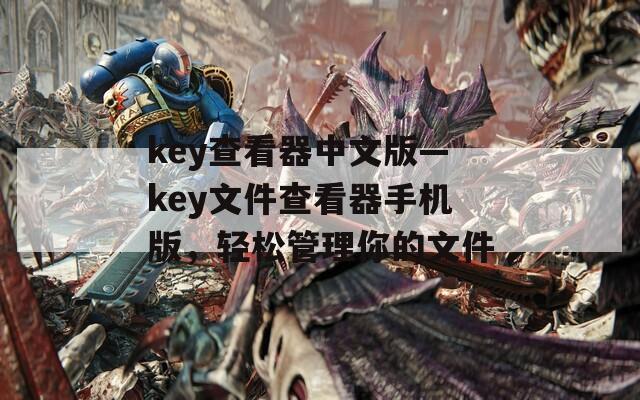 key查看器中文版—key文件查看器手机版，轻松管理你的文件