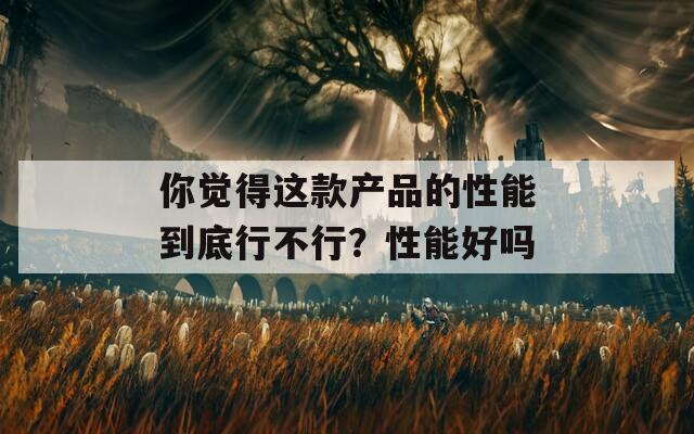 你觉得这款产品的性能到底行不行？性能好吗
