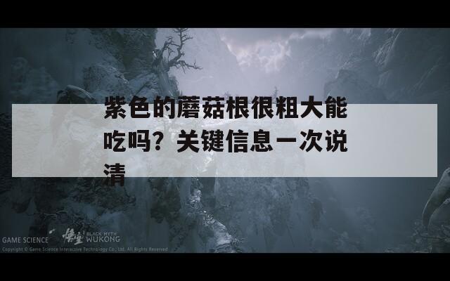 紫色的蘑菇根很粗大能吃吗？关键信息一次说清