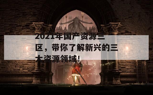 2021年国产资源三区，带你了解新兴的三大资源领域！