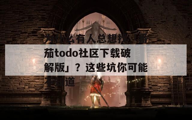 为什么有人总想找「番茄todo社区下载破解版」？这些坑你可能不知道