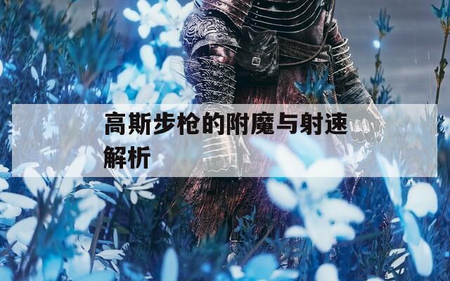 高斯步枪的附魔与射速解析