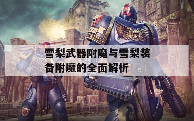 雪梨武器附魔与雪梨装备附魔的全面解析