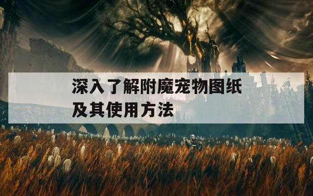 深入了解附魔宠物图纸及其使用方法