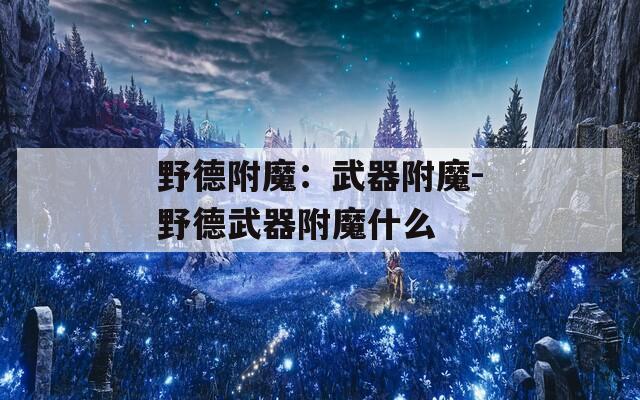 野德附魔：武器附魔-野德武器附魔什么