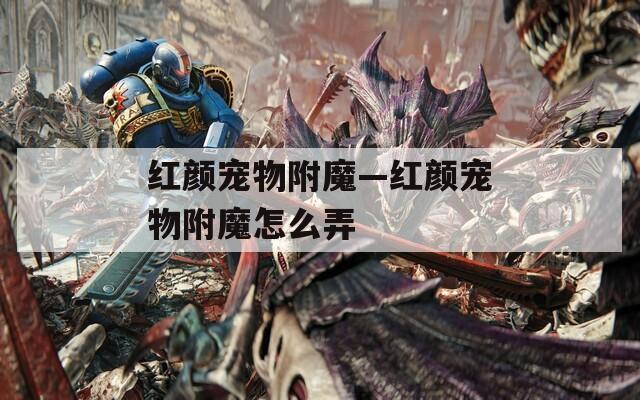 红颜宠物附魔—红颜宠物附魔怎么弄