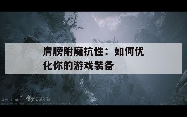 肩膀附魔抗性：如何优化你的游戏装备