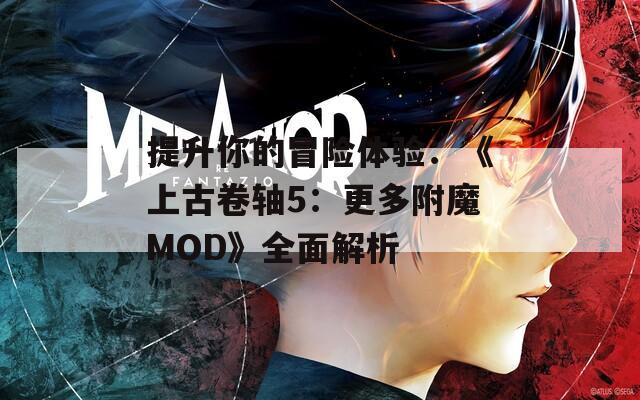 提升你的冒险体验：《上古卷轴5：更多附魔MOD》全面解析