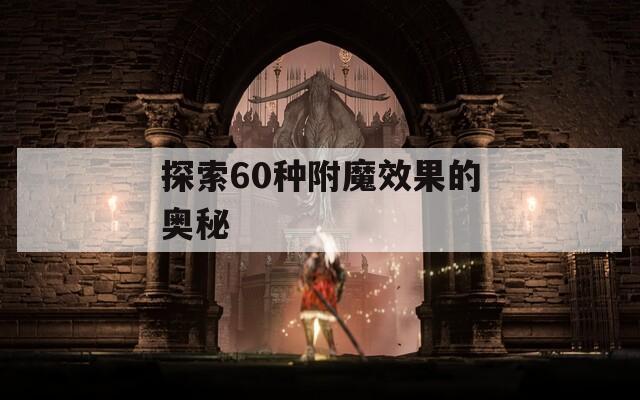 探索60种附魔效果的奥秘