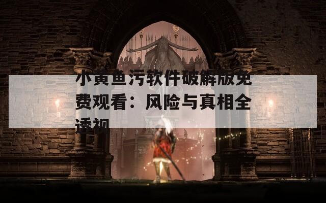 小黄鱼污软件破解版免费观看：风险与真相全透视
