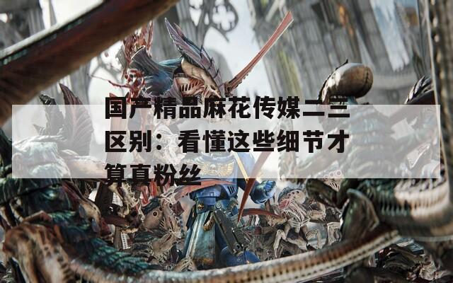 国产精品麻花传媒二三区别：看懂这些细节才算真粉丝