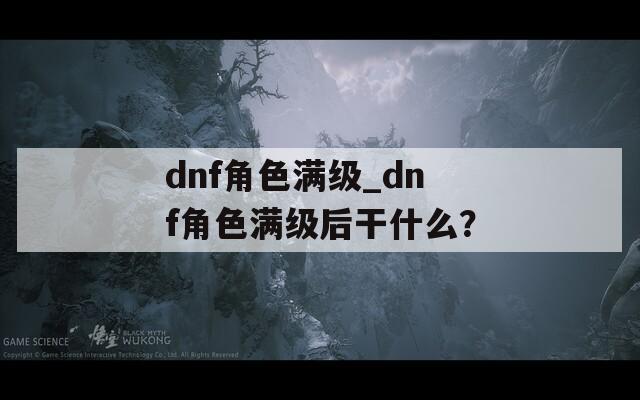 dnf角色满级_dnf角色满级后干什么？