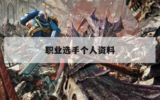 职业选手个人资料