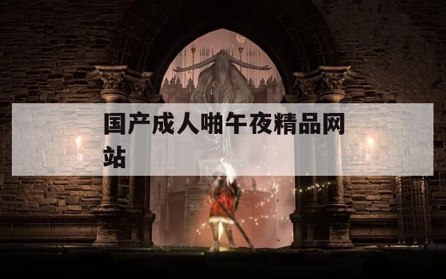 国产成人啪午夜精品网站