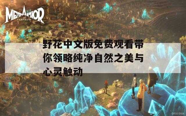 野花中文版免费观看带你领略纯净自然之美与心灵触动