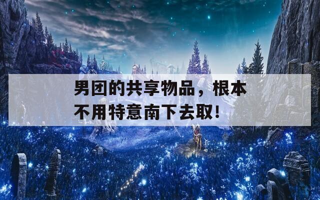 男团的共享物品，根本不用特意南下去取！