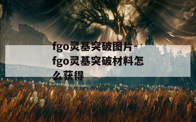 fgo灵基突破图片-fgo灵基突破材料怎么获得
