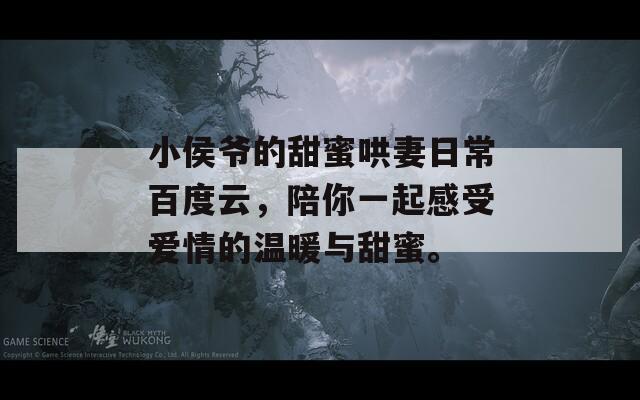 小侯爷的甜蜜哄妻日常百度云，陪你一起感受爱情的温暖与甜蜜。