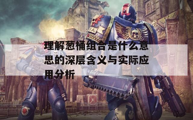 理解葱桶组合是什么意思的深层含义与实际应用分析